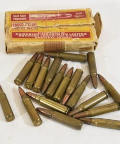 .300 Savage Ammo For Sale